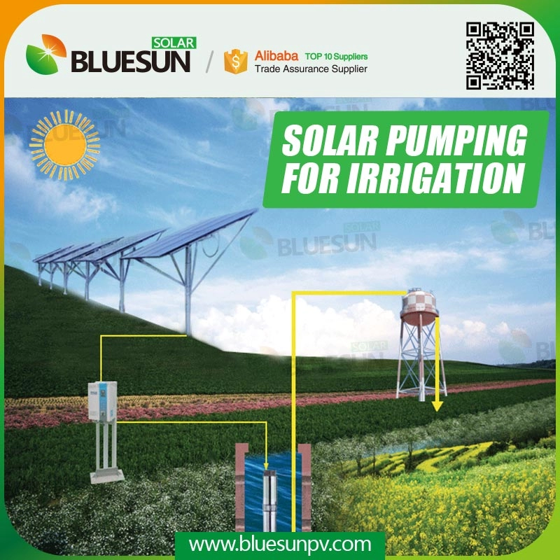 Sistema di pompaggio solare 5HP per irrigazione
