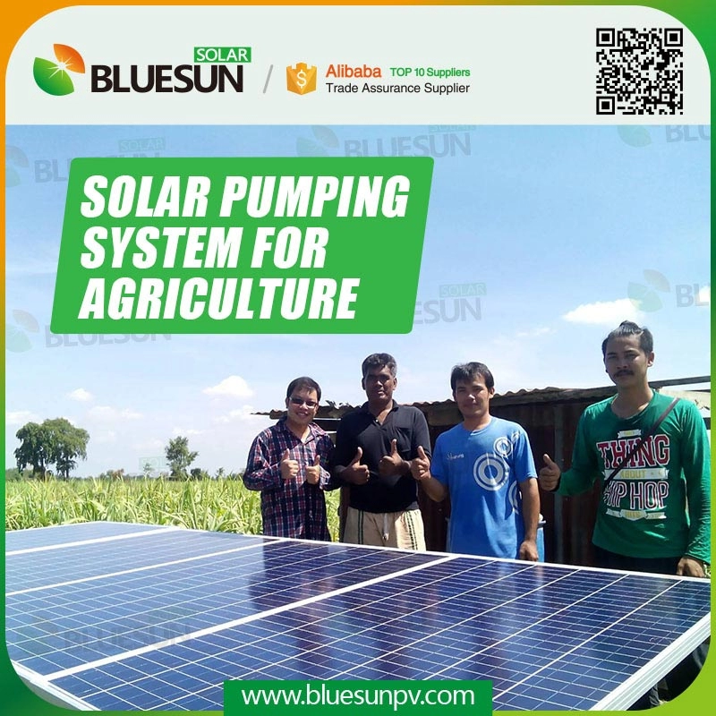 Sistema di pompa dell'acqua di Agricoltura solare 15HP