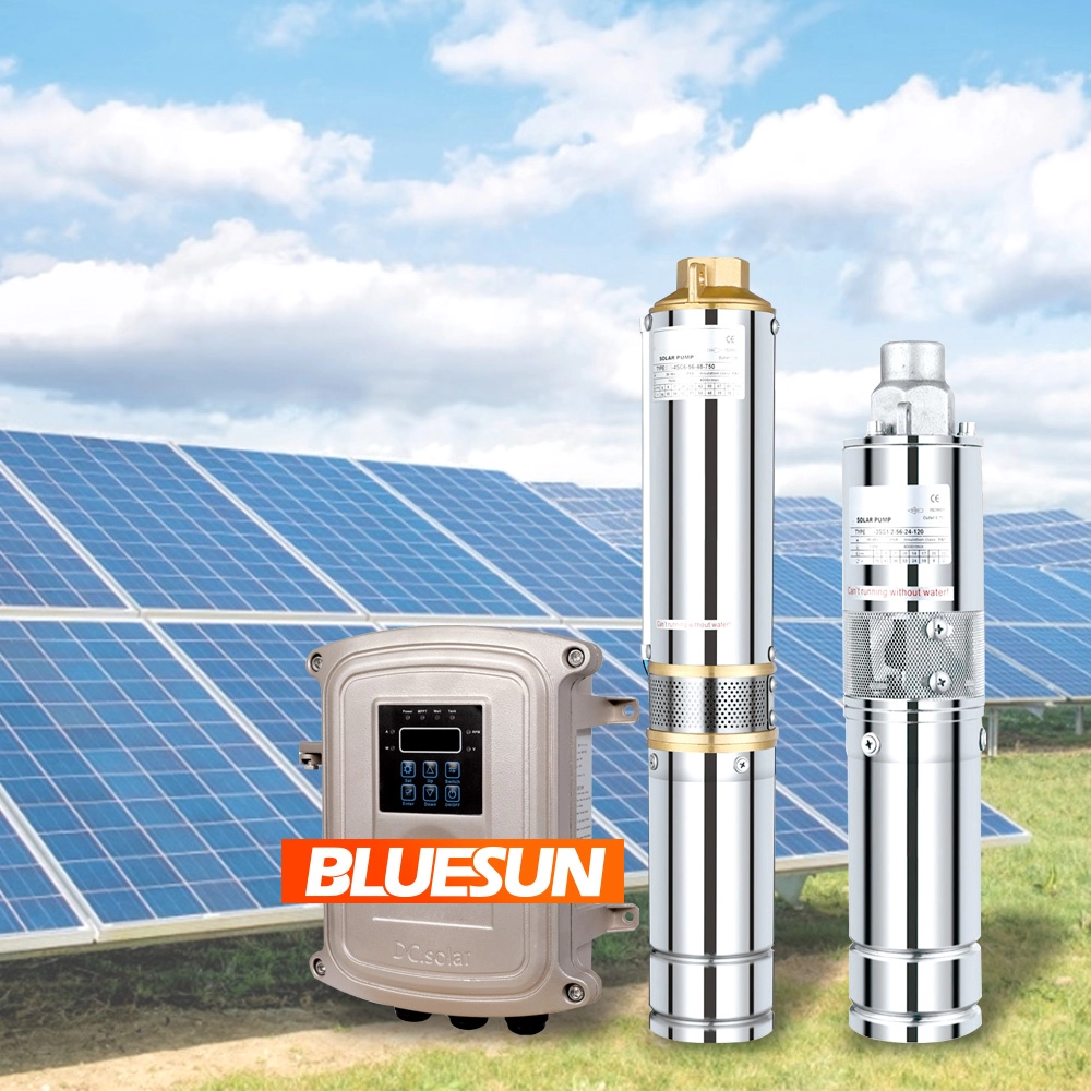Bluesun Marca 110V Solar Benezer Pump 1500W DC Solar Pump Pump System DC 2HP Pompa per piscina solare in Thailandia