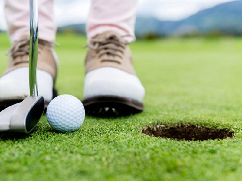 Certificato di buona qualità che mette erba sintetica per erba da golf