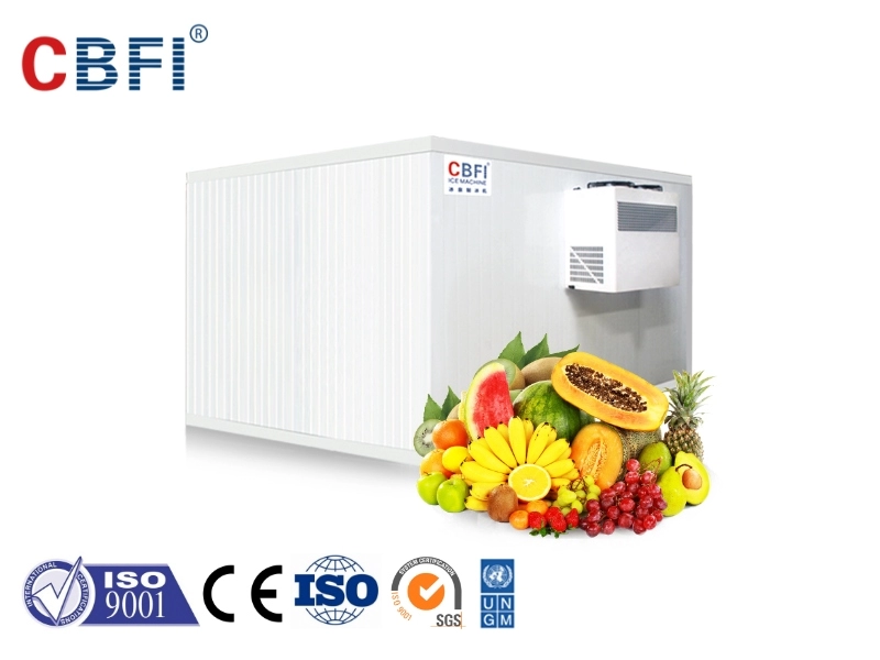 Unità per celle frigorifere intelligenti CBFI