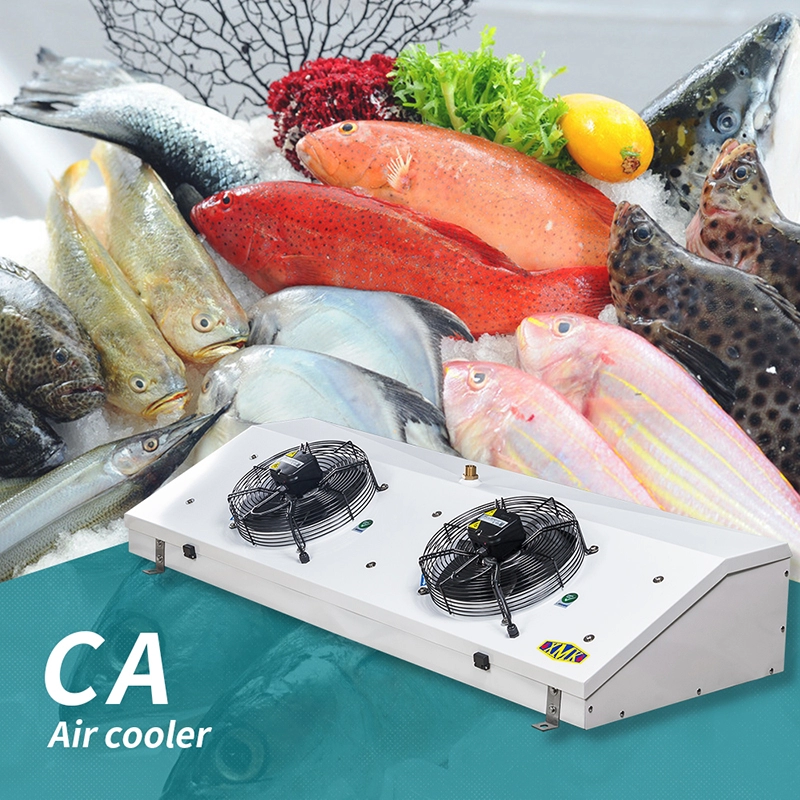 Il sistema di raffreddamento dei frutti di mare utilizza un refrigeratore d'aria commerciale