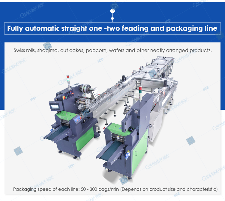 VT-1-2 Automatic feeding and packaging line