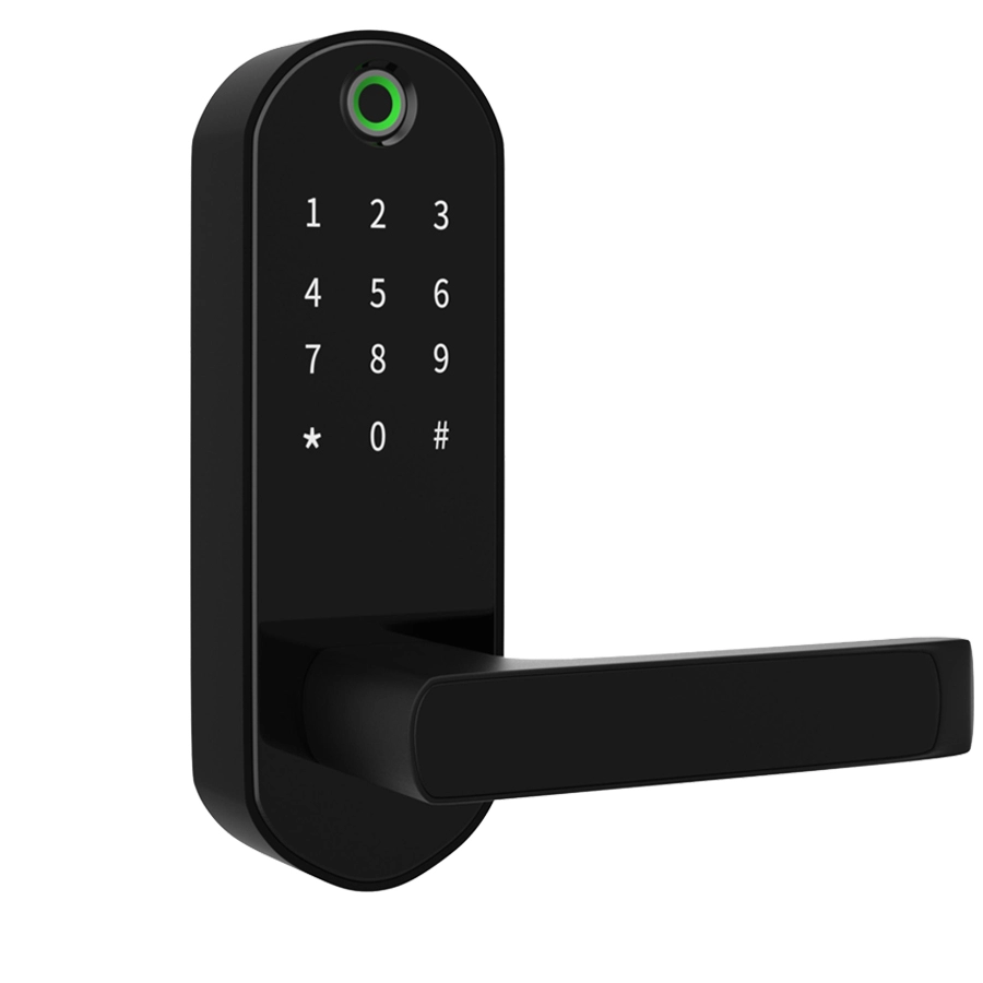 Smart Home System Password digitale NFC Fingerprint Key Lock per porta in legno