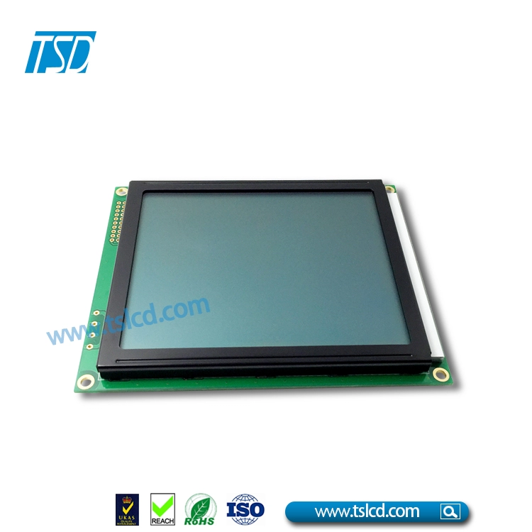 Modulo LCD grafico COB 160x128 punti con IC T6963C