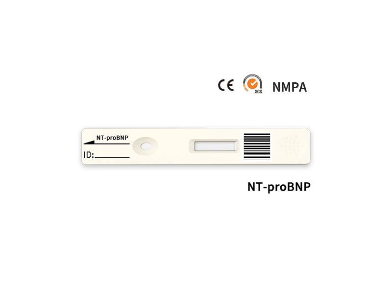 Test quantitativo rapido NT-proBNP