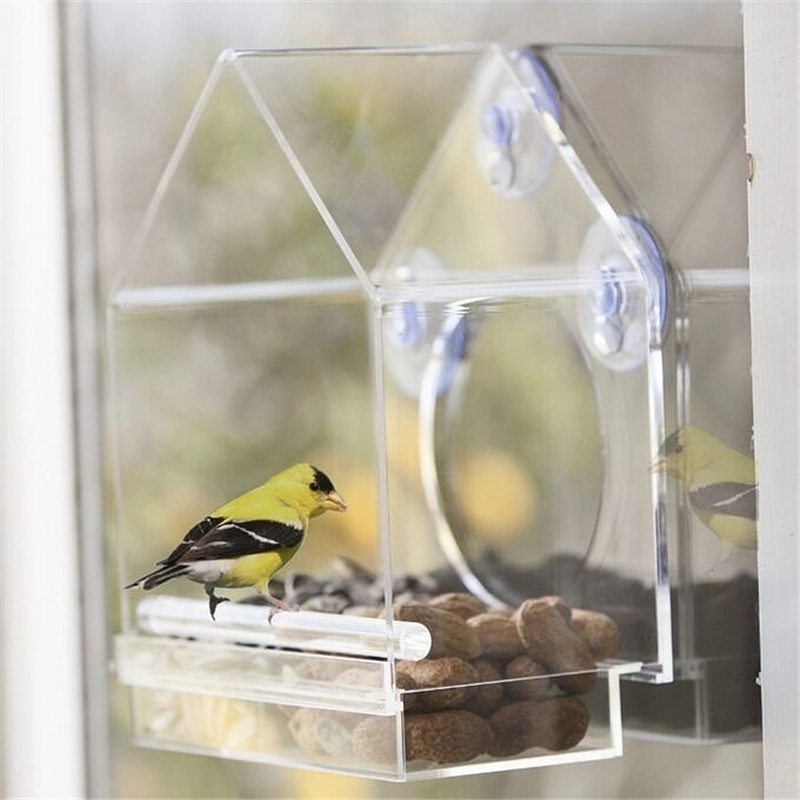 Gabbie per uccelli in acrilico Nest House Pet Carrier