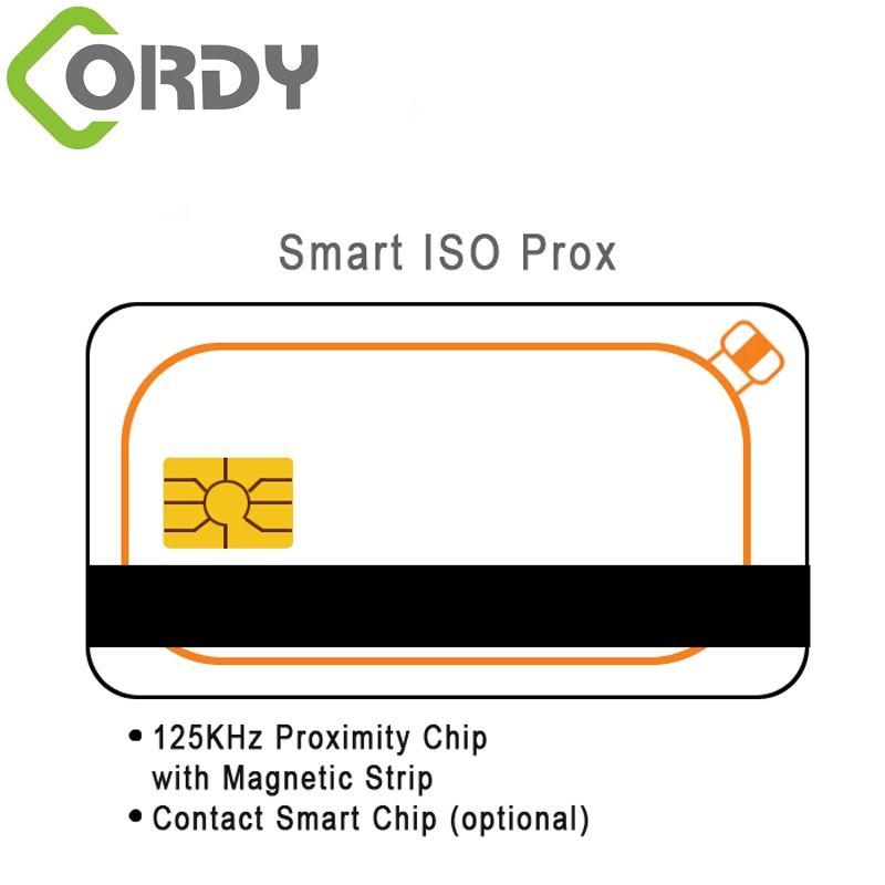 Doppia card RFID con banda magnetica Card con contatto IC