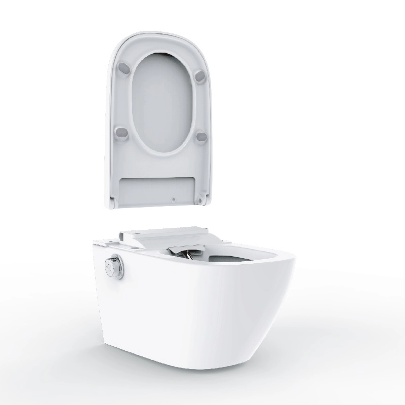 WC con doccia intelligente Bidet Sedile bianco e nero in stile tedesco