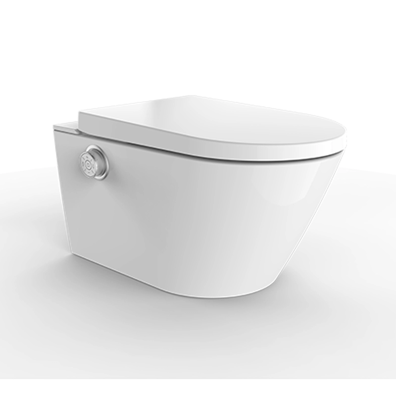 Installazione intelligente del WC con doccia con cassetta bianca Cabinet