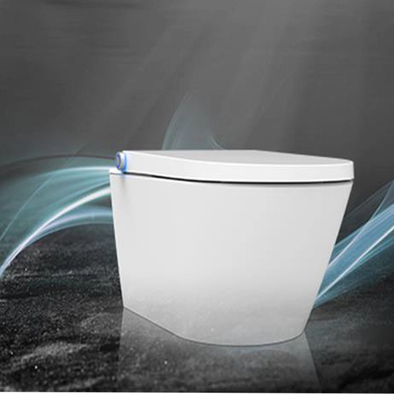 Intelligent DUSCH WC bidet doccia Sedile WC bidet bianco sedile WC in design senza brida