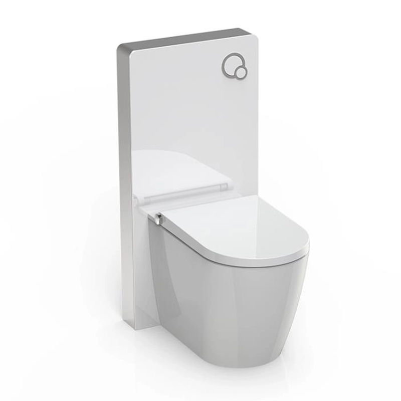 Cassetta per WC di colore bianco per bagno con sciacquone potente e a buon prezzo