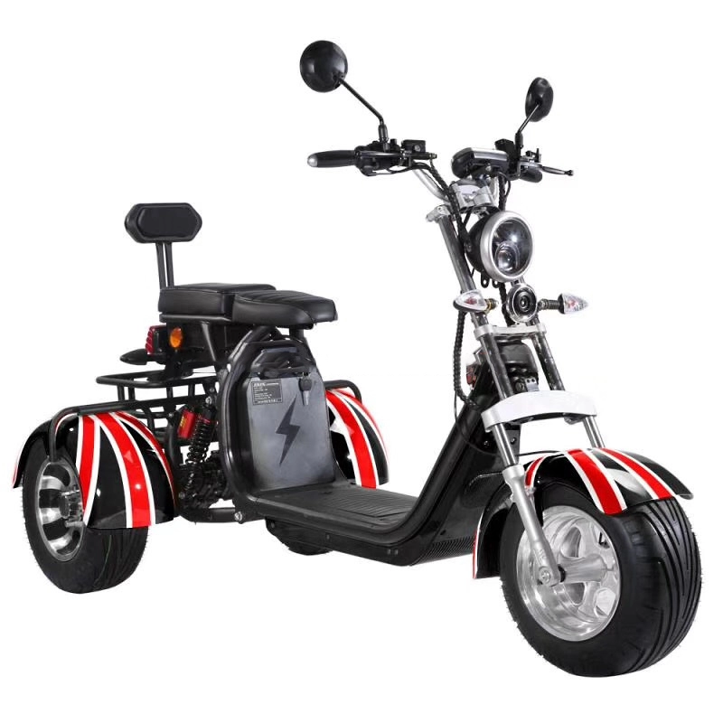 3 ruote 45 kmh velocità massima Scooter elettrico citycoco 60v 1500w citycoco elettrico con pneumatico grasso