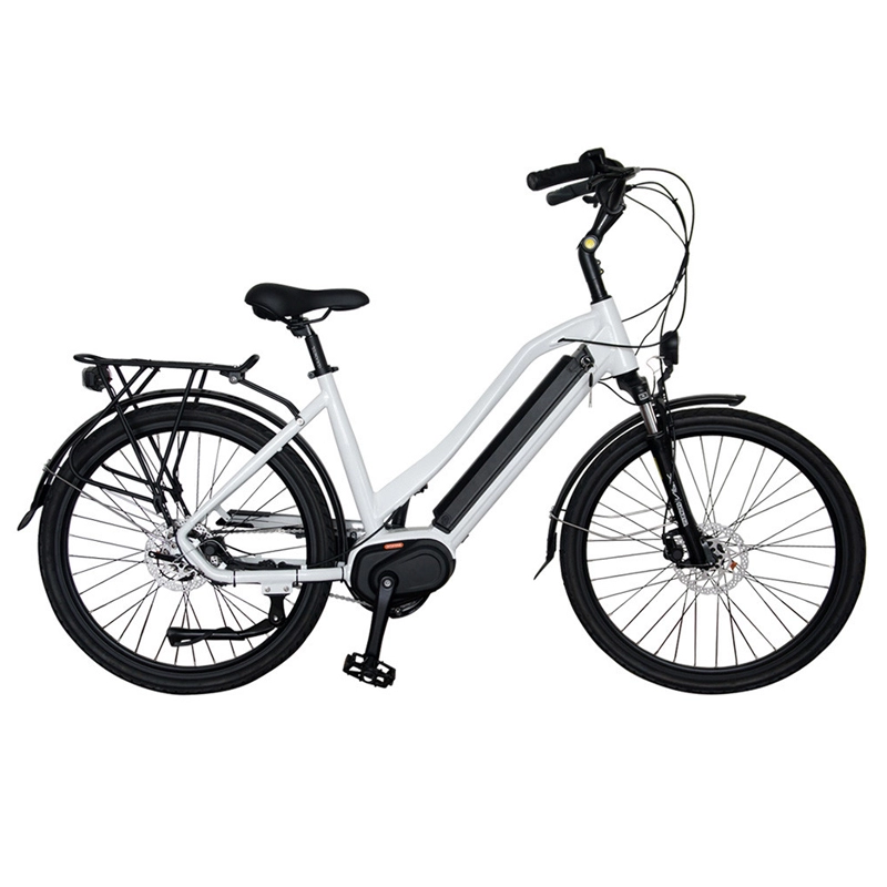 Modo di vendita caldo 36v 350w bicicletta elettrica 48v con motore del mozzo brushless di alta qualità 20 pollici ebike pneumatico grasso