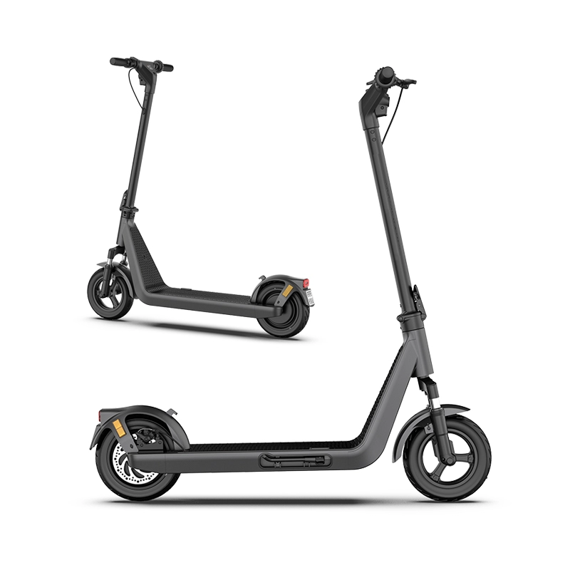 Scooter elettrico pieghevole impermeabile da 10 pollici 350w