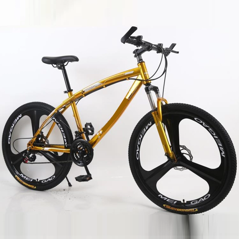 Biciclette da montagna a 21 velocità con freno a doppio disco per adulti da 26 pollici Sport 21 marce