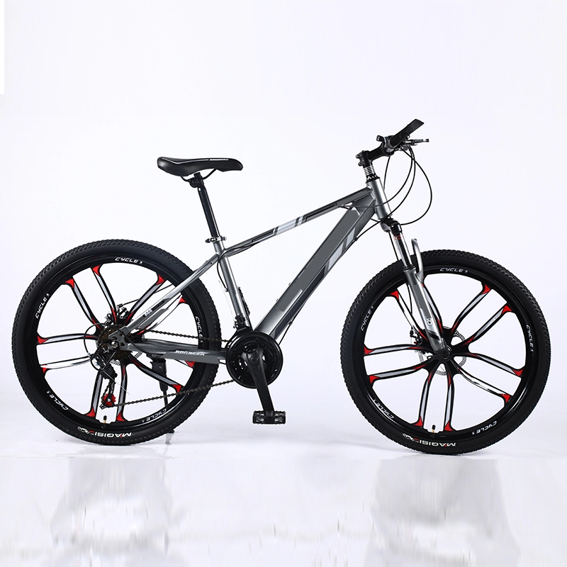 Bicicletta della montagna della bici di 21 velocità della sospensione completa su misura di vendita calda