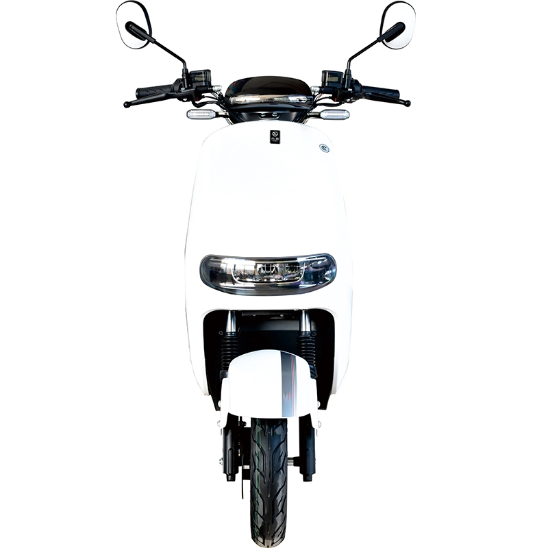 Scooter elettrico per moto per adulti a due ruote 2000w