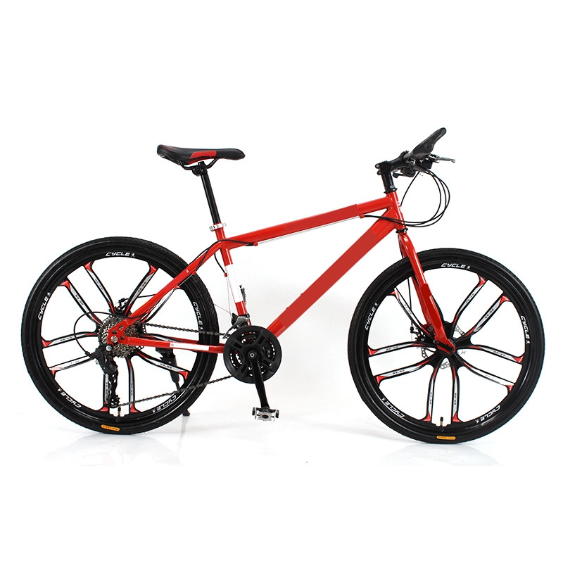 Mountain bike per adulti con telaio in acciaio ad alto tenore di carbonio