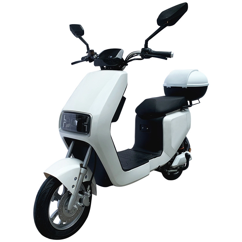Scooter elettrico per motociclette da 10 pollici 48v personalizzato