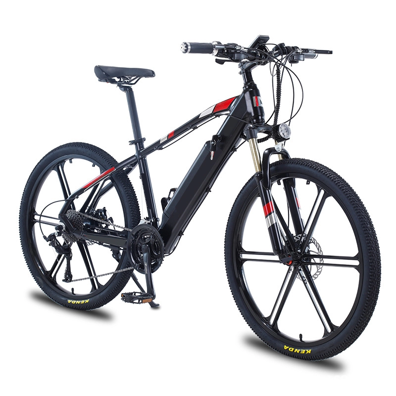 36V 48V 250W pedalata assistita e alimentazione ciclo batteria uomo 350W bicicletta elettrica 750W adulti ebike migliore mountain bike elettrica in vendita