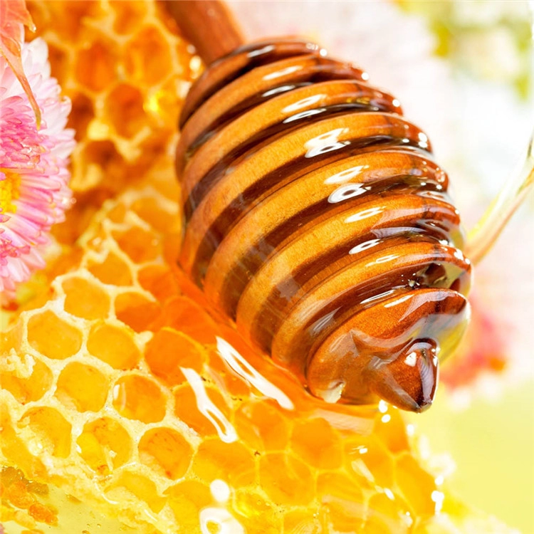 Miele d'api di colza OEM 100% puro naturale