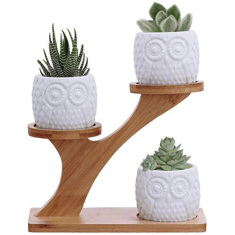 Vasi per piante grasse in ceramica con gufo piccolo Gardon con drenaggio e supporto in bambù