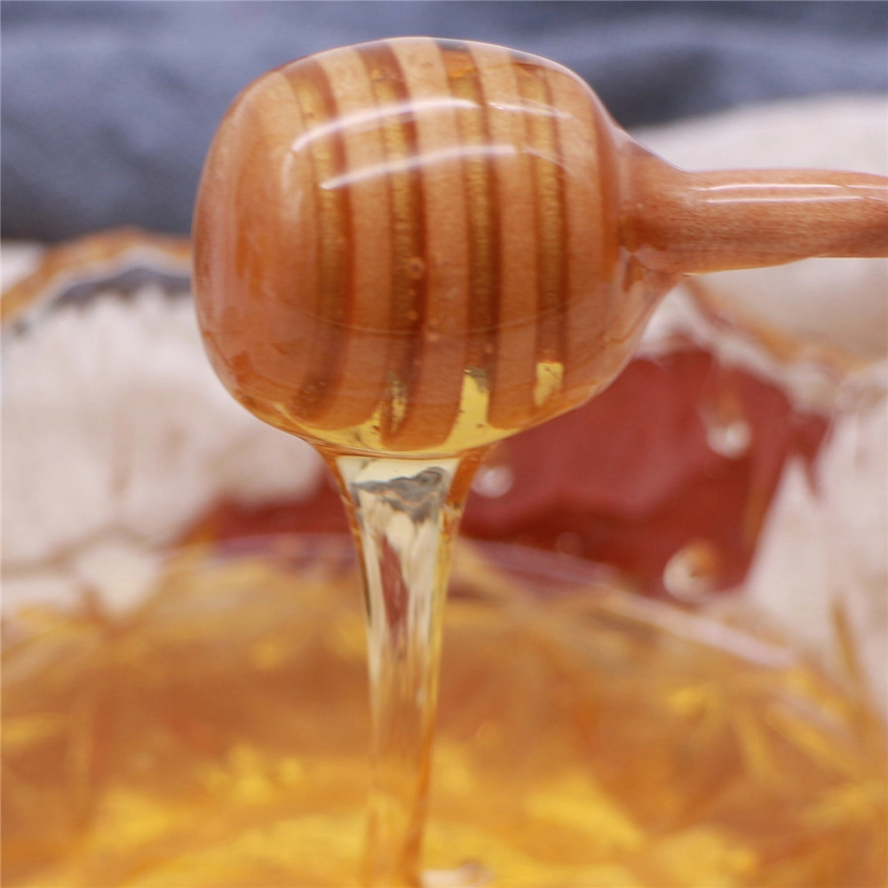 Miele naturale al barattolo di vetro popolare del Medio Oriente