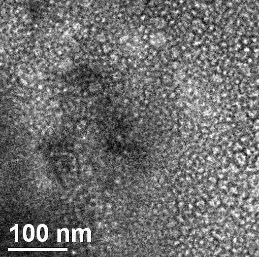 Nanoparticelle idrofile di biossido di silicio SiO2 idrofile