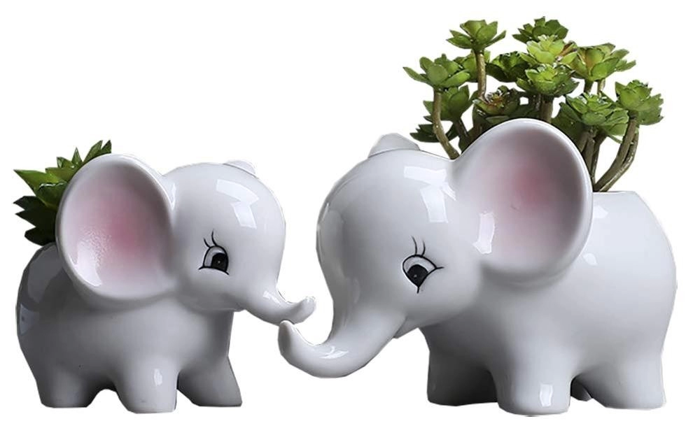 Vasi per fioriere succulente bianche moderne con elefante in ceramica da 2 pezzi