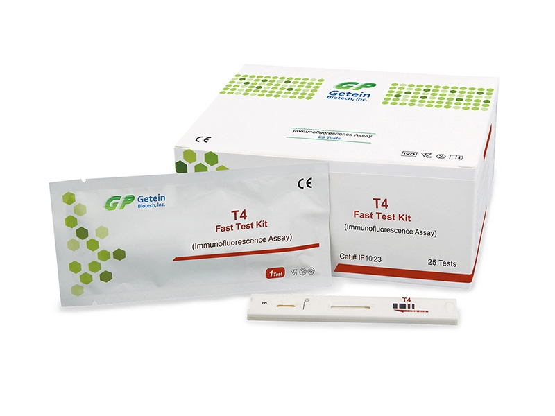Kit per test rapido T4 (test di immunofluorescenza)