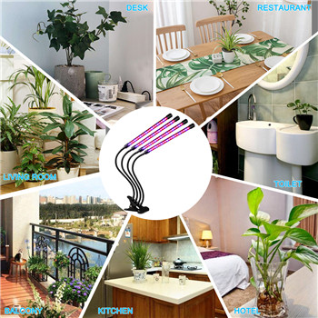 Lampada da tavolo leggera e compatta per la crescita delle piante domestiche