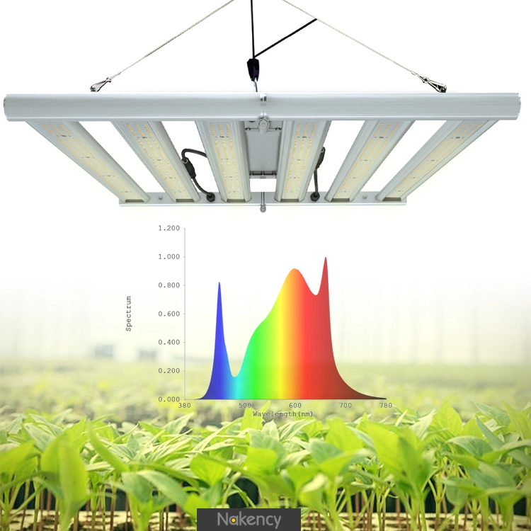 Lampade da coltivazione a led da 320 W per piante da interno, spettro completo
