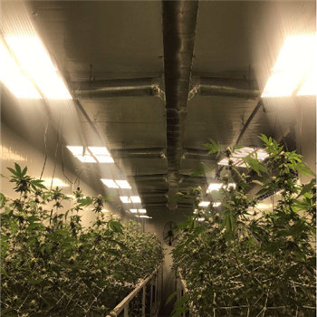 Luce per la crescita delle piante a LED ad alta efficienza impermeabile IP65 per interni