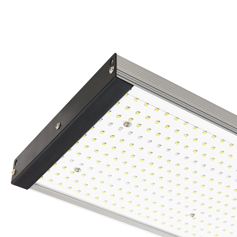 Nuovo spettro completo di sostituzione delle luci a LED idroponico da 300 W per piante da interno