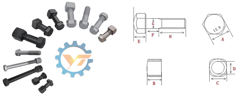 Bolt and Nut