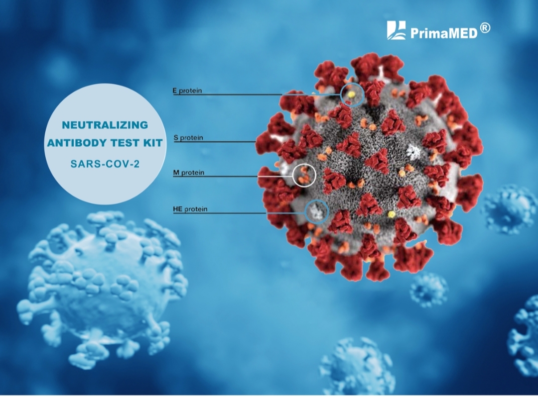 Kit per il test degli anticorpi neutralizzanti SARS-CoV-2