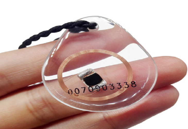 Portachiavi RFID trasparente
