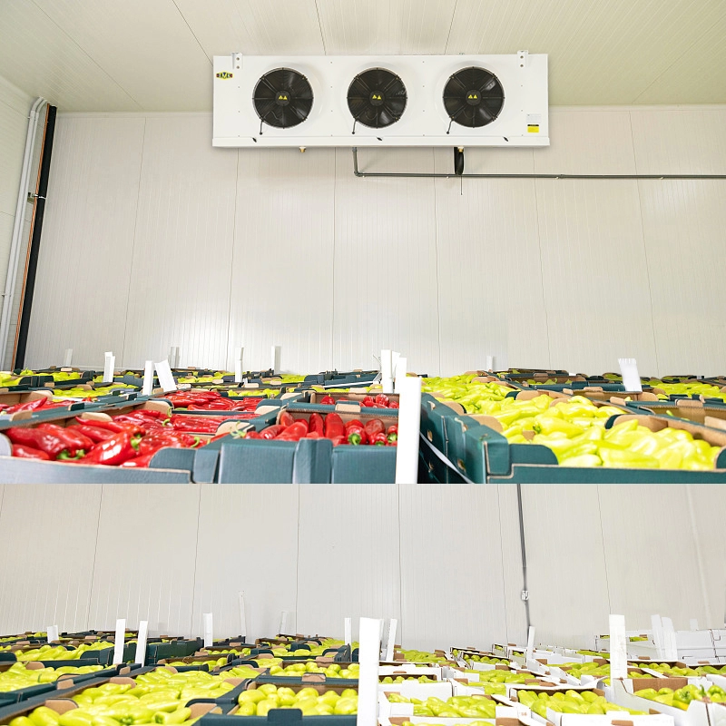 Evaporatore per conservazione frigorifera di frutta e verdura Raffreddatore per unità 9.18KW