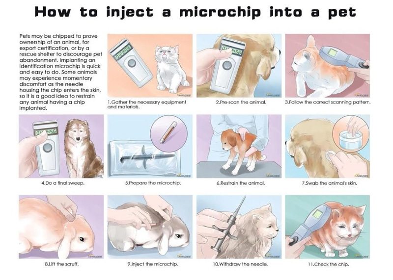 Iniettare tag microchip RFID nell'animale domestico