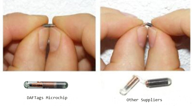 Microchip identificativo RFID per animali domestici