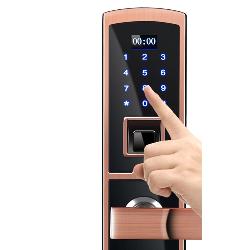Serratura biometrica per impronte digitali