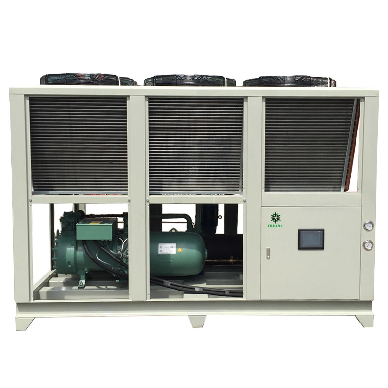 Compressore Bitzer a vite raffreddato ad aria per refrigeratore centrale