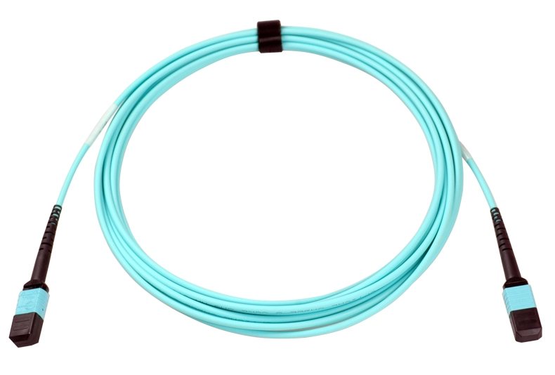 8 Fibra MPO (maschio) -MPO (maschio) Cavo in fibra ottica multimodale OM3 50/125